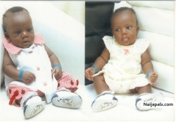 fola anikky
