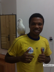 wit my friend... kito