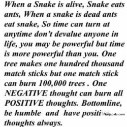 My Thought