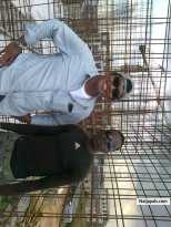 @ wrk