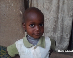 Mohammed mustapha bulama