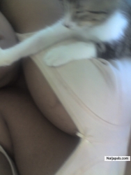 EARLY MORNING CAT FIGHT!!!!!THE SCARS ARE GONE.