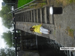 My Picture