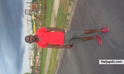 ambrose ovili
