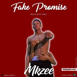 Fake Promise by MKZEE