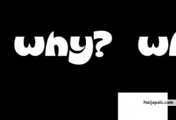 ginjo (whywhy)