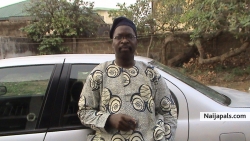 wole ayoade