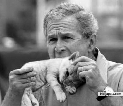 United states president george (knates)