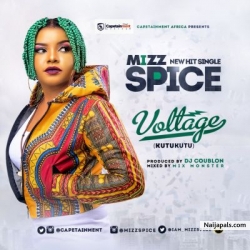 Voltage by Mizz Spice
