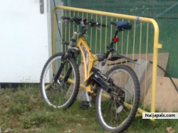 dts my mountain bike !!! i love it