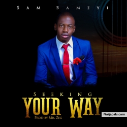 Seeking your way by Sam Bameyi 