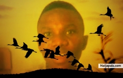 sun of d world
