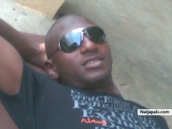 lekan hamed