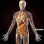 My Picture