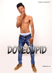 Mr dove (dovecupid)