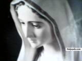 Don Bosco (onlydonchukky)