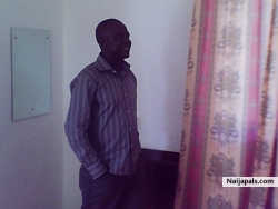 D cool Everloving