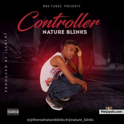 Nature Blinks-controller by Nature Blinks