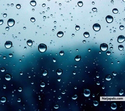 RAIN DROPS