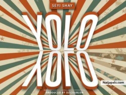 yolo yolo by Seyi Shay