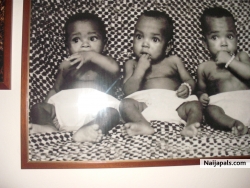 BOBO PICTURES