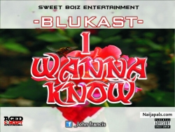 I wanna know by Blukast