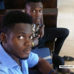 Sire Niffy