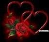 My Picture