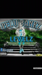 Levels by Pelu Banks