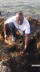 olad marc (marcolad)
