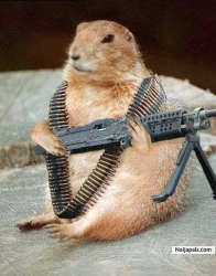 latest niger-delta militant
