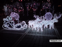 Christmas lights