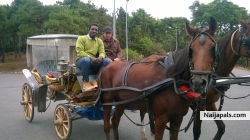 on chariot 