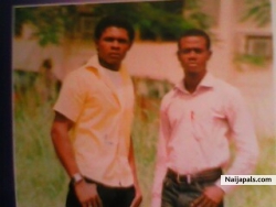 Annold n virus