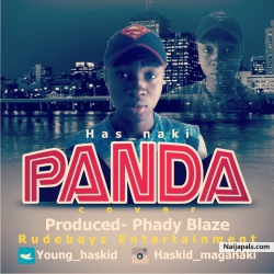 Panda cover by Hasnaki