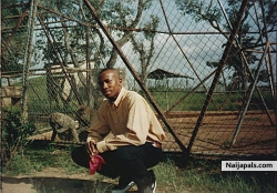 zoo life