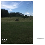 country life