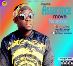 ASSURANCE — MOVE MOUNTAIN (IF COVER) (MIXED BY — ZEALOT by Assurance