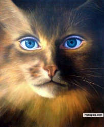 LOVELY CAT