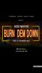 Burn Dem Down prod.Enzyme Dee beatz by Addi Mayor 