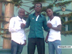 the grooveys