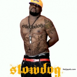 slow dog