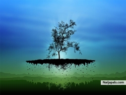 SAVE THE MOTHER EARTH