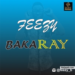 Abdulafeez Bakaray (FeezyBakaray)