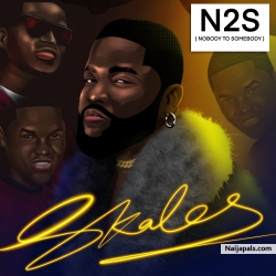 N2S (Nobody to Somebody) by Skales 