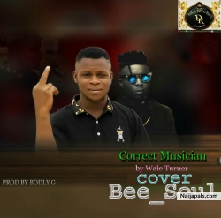 Correct Musician Cover by Beesoul