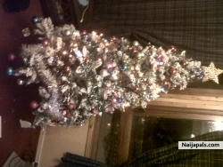 happy christmas everyone