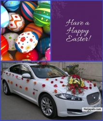 have a happy easter. send the egg back to the chicken!