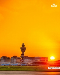 I am stepping into Schiphol at the first sun, taking a taxi and heading into Nigeria Residence.