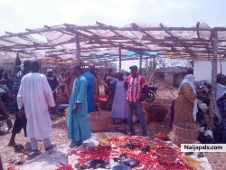 Rasheed nurudeen olayinka (OLAWESCKO)